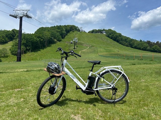 電動アシスト自転車